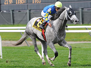 Take the Points wins the 2009 Jamaica.