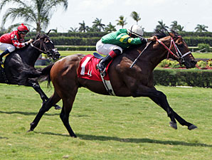 Tale of a Champion wins the 2012 Bob Umphrey Turf Sprint.