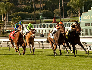 Tales in Excess wins the 2010 Blue Norther.