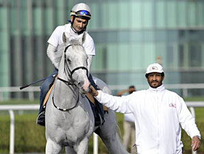 Tamaathul - Dubai, March 26, 2013.