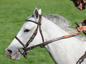 Tapitsfly wins the 2012 First Lady.