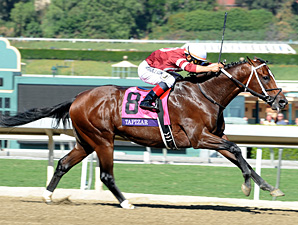 Tapizar in the Breeders' Cup Dirt Mile.