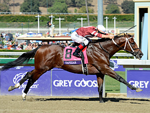 Tapizar in the Breeders' Cup Dirt Mile.