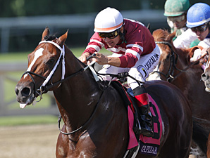 Tapizar in the Breeders' Cup Dirt Mile.