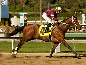 Tapizar wins the 2011 Sham.