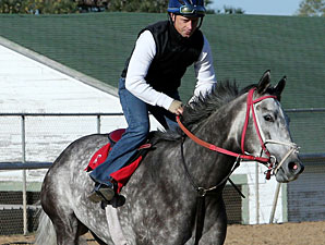Taptowne at Oaklawn on April 12, 2013