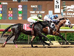 Tastefullyxcessive wins the 2013 Texas Stallion Stakes - Got Koko Division.