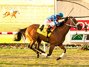 Tasty Treat wins the 2013 Daisycutter Handicap.