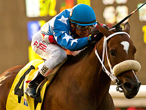 Tasty Treat wins the 2013 Daisycutter Handicap.