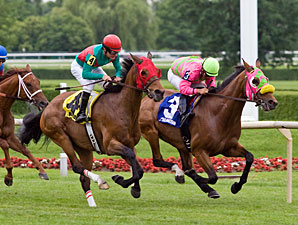 Tazz wins the 2011 Black Tie Affair.