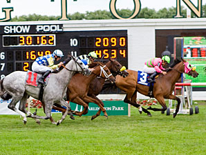 Tazz wins the 2011 Black Tie Affair.