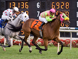 Tazz wins the 2011 Illinois Owners Stakes.