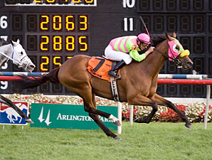 Tazz wins the 2011 Illinois Owners Stakes.