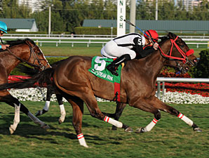 Teaks North wins the 2011 Gulfstream Park Turf Handicap.