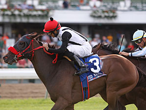 Teaks North wins the 2011 United Nations.