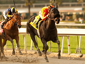 Teddy's Promise wins the 2013 Santa Monica.