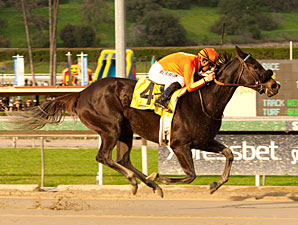 Teddy's Promise wins the 2013 Santa Monica.