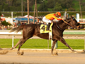 Teddy's Promise wins the 2013 Santa Monica.