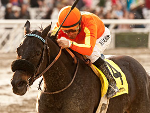 Teddy's Promise wins the 2013 Santa Monica.