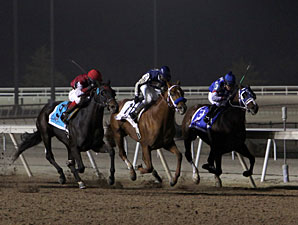 Ted's Folly wins the 2011 Remington Springboard Mile.