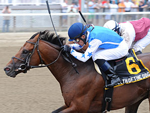 Teeth of the Dog wins the 2012 Dwyer.