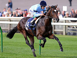 Telescope running at the Cambridgeshire Meeting at Newmarket Racecourse.