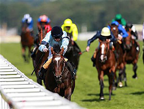 Telescope in the British Stallion Studs Supporting British Racing E.B.F. Maiden Stakes.