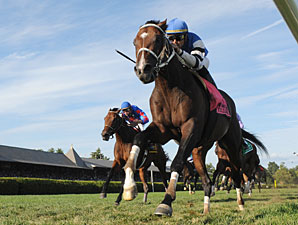 Telling wins the 2010 Sword Dancer.