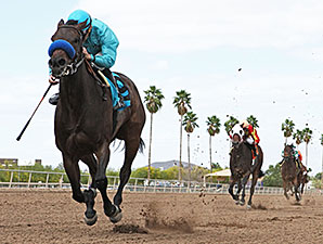 Tempe wins the 2014 Ann Owens Distaff Handicap.