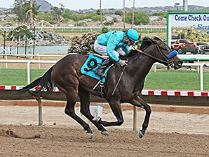 Tempe wins the 2014 Ann Owens Distaff Handicap.
