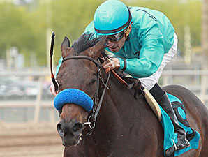 Tempe wins the 2014 Ann Owens Distaff Handicap.