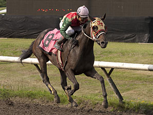 Tempered Steel wins the British Columbia Oaks Stakes.