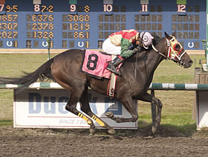 Tempered Steel wins the British Columbia Oaks Stakes.