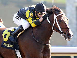 Tend Keeneland Allowance, 10/17/2010