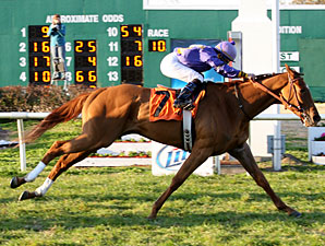 Tensas Cat wins the 2010 Gentilly.