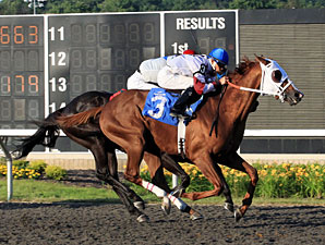 Terriffico wins the 2011 Leematt Stakes.