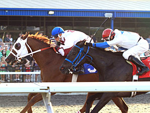 Terriffico wins the 2011 Leematt Stakes.