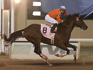 Texas Bling wins the Springboard Mile.