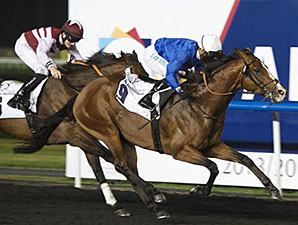 Tha'ir wins the 2014 Al Naboodah Cargo Centre Trophy.