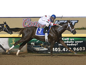 The Drifter wins the 2012 Kip Deville Stakes.