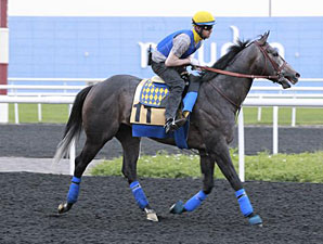 The Factor - Dubai 2012