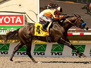 The Factor wins the Pat O'Brien