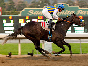 The Factor in the Malibu Stakes.