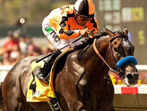 The Factor wins the Pat O'Brien