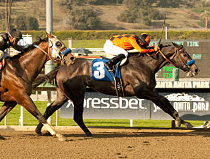 The Factor wins the 2012 San Carlos.