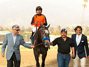 The Factor wins the 2012 San Carlos.