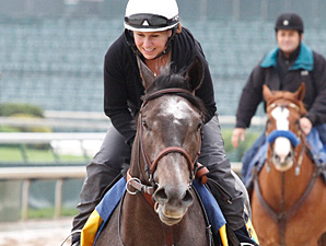 The Factor jogs at Churchill Downs.