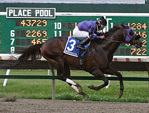 The Hunk wins the 2012 John J. Reilly Handicap.