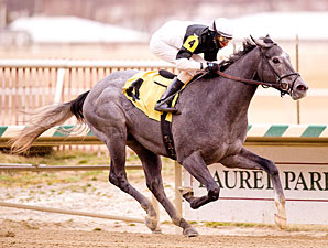 The Lumber Guy wins the 2012 Miracle Wood.