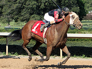 The Mallard Man wins the Arkansas Breeders Stakes.